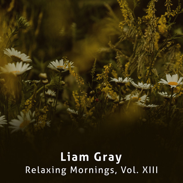 Relaxing Mornings, Vol. XIII cover art