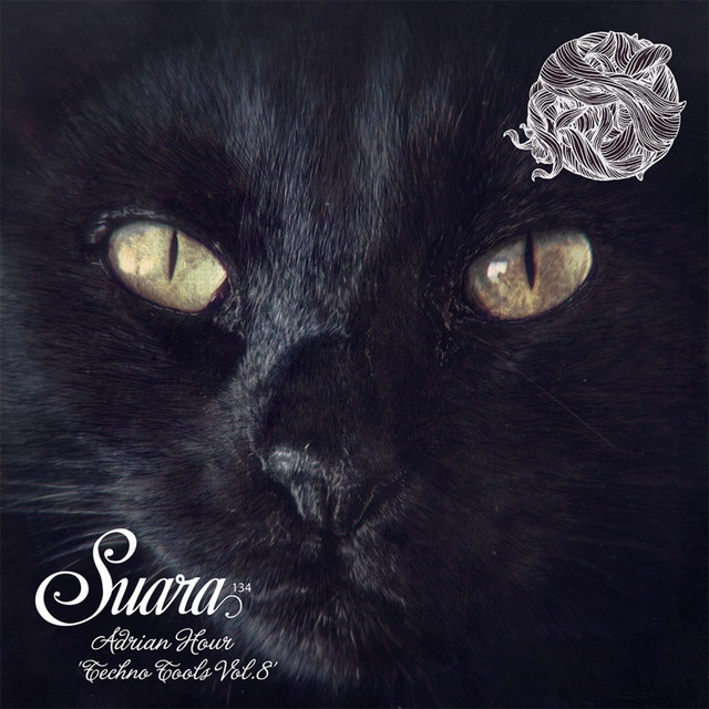 Rhythm Cats cover art