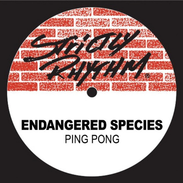 Ping Pong cover art