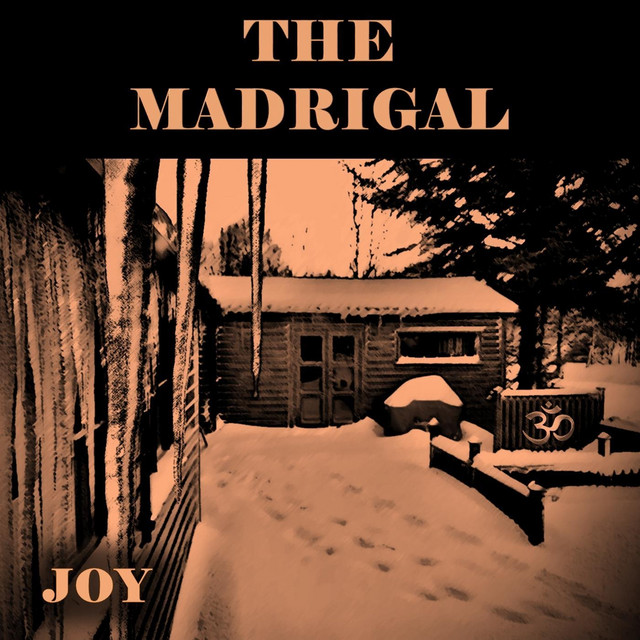 Joy cover