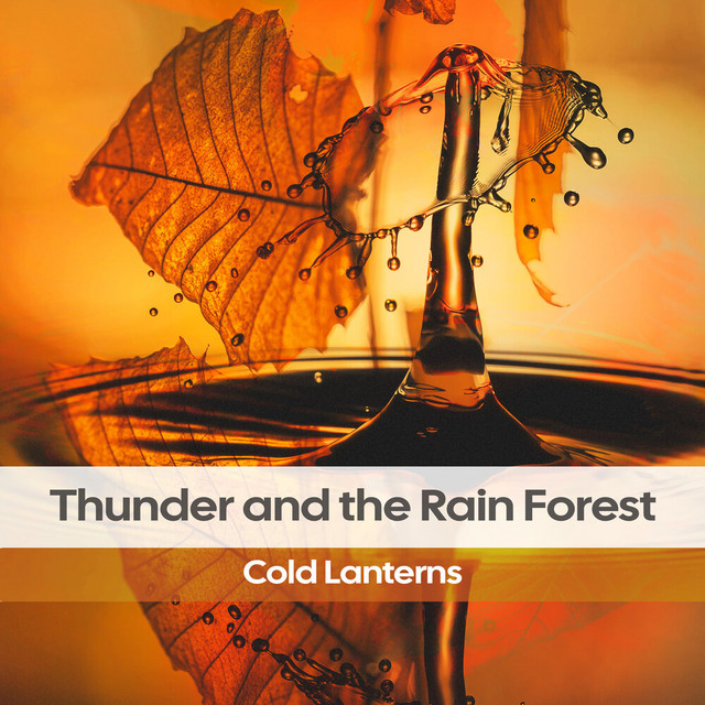 Thunder and the Rain Forest cover art
