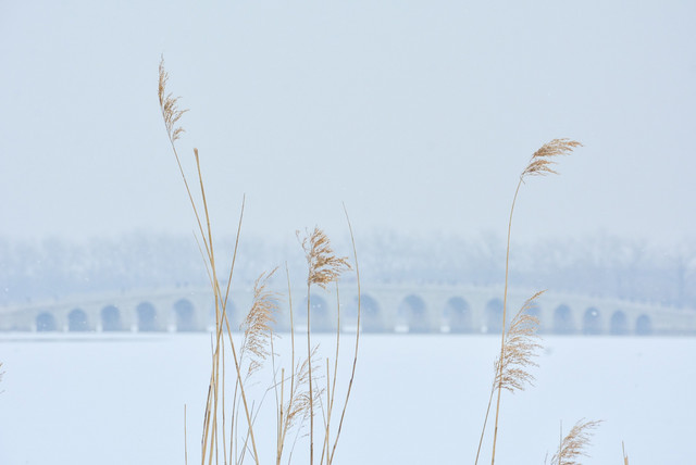Beautiful Calm | Zen New Age Music cover art