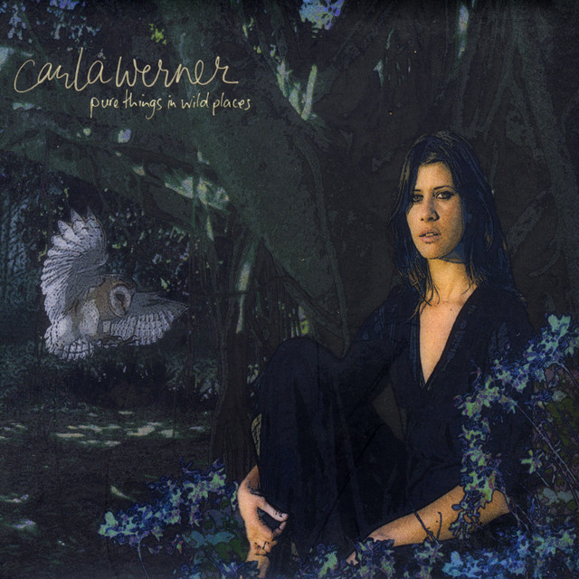 Pure Things In Wild Places cover art