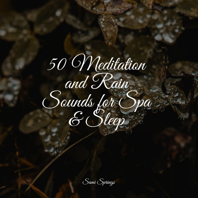 50 Meditation and Rain Sounds for Spa & Sleep - Album by Pro Sound ...