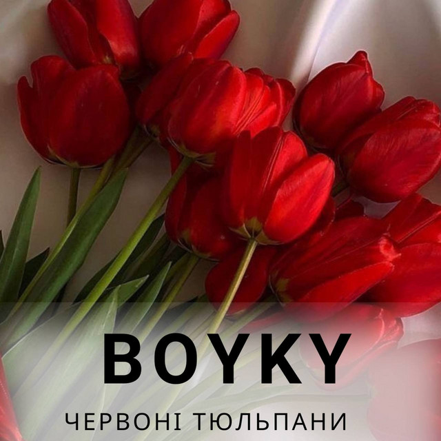 Обкладинка: Червоні тюльпани — BOYKY