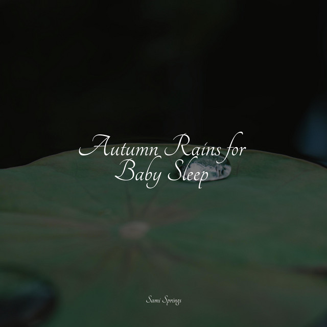 Autumn Rains for Baby Sleep - Album by Water Sound Natural White Noise ...