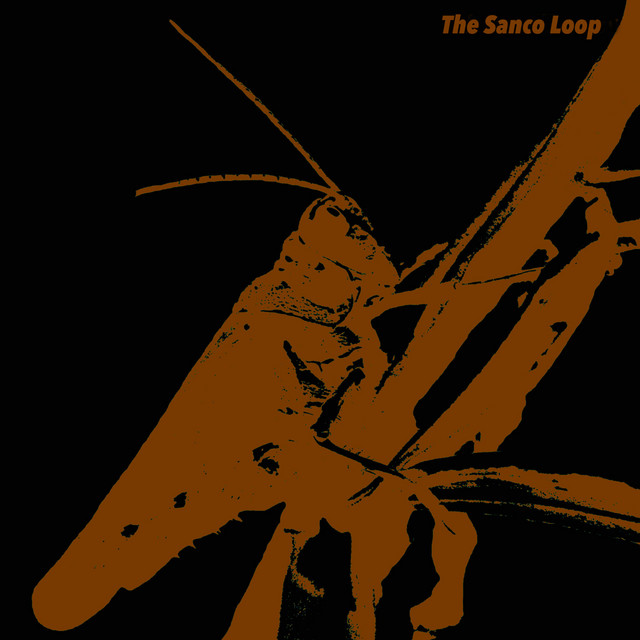 Grasshopper cover art