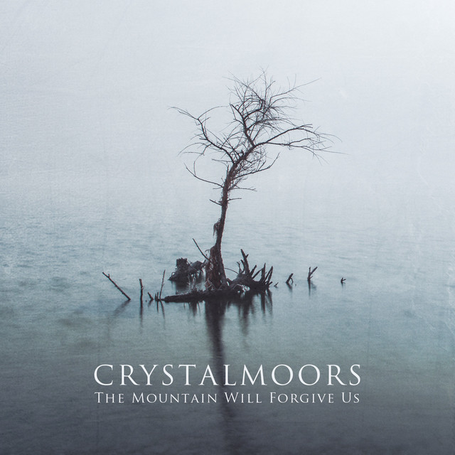 The Mountain Will Forgive Us cover art