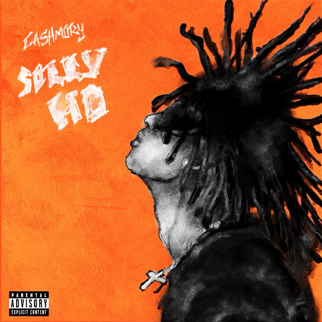 Sorry Ho cover art