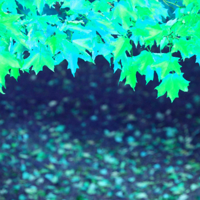 Ambiance for Balancing Favorites cover art