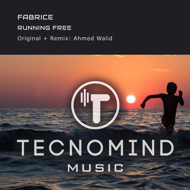 Running Free - Single by Fabrice | Spotify