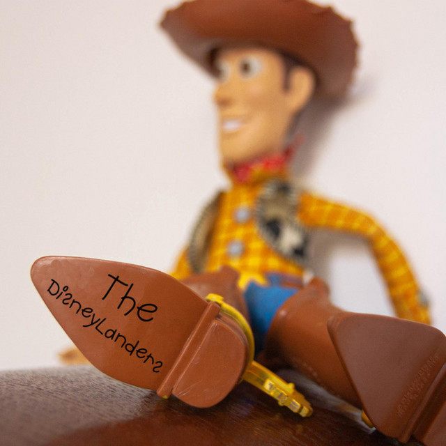 Cowboy Woody cover art