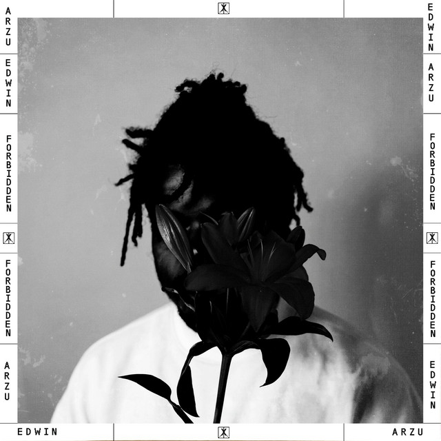 Forbidden cover art
