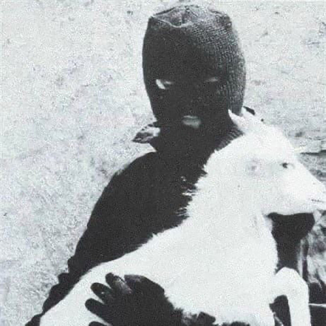 undefined album image