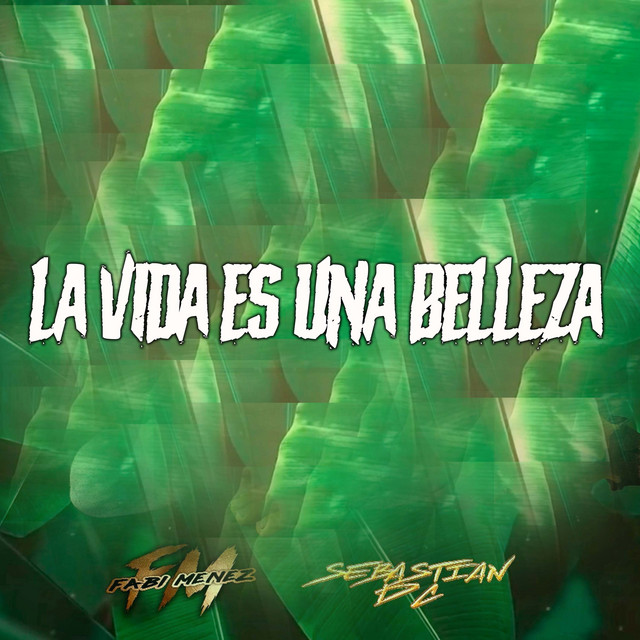 La Vida Es una Belleza
