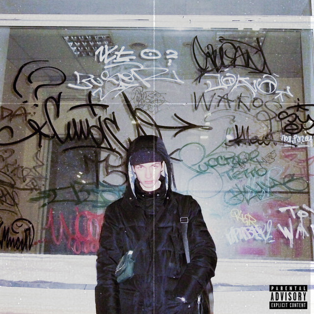 The Life of Insects cover art