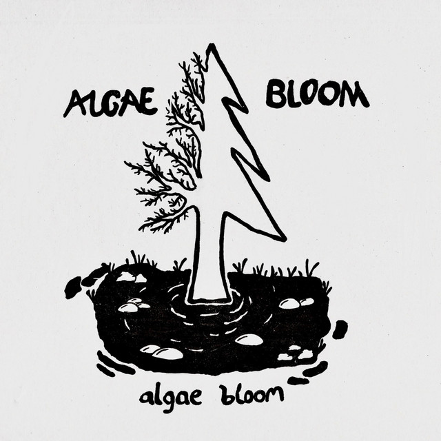 Algae Bloom cover art