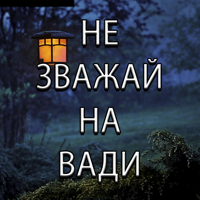 Обкладинка: Не Зважай На Вади — Dmytro Shulzhenko