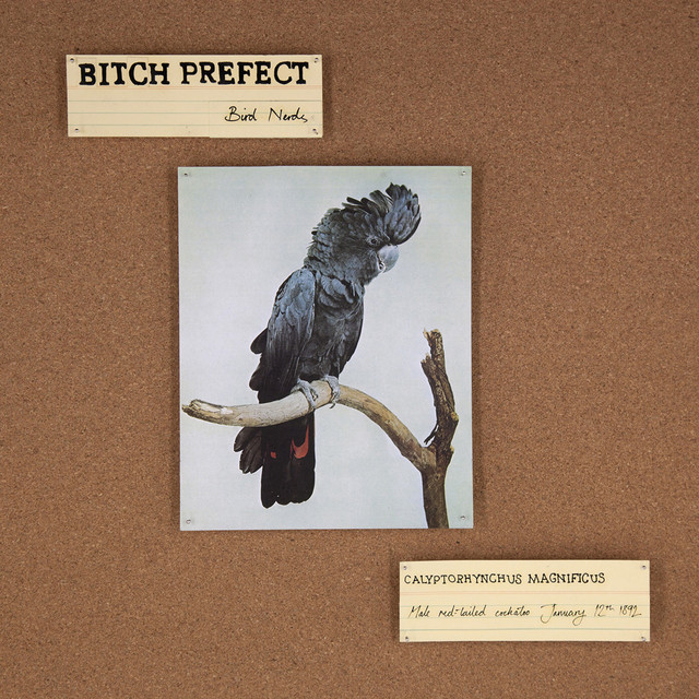 Bird Nerds cover