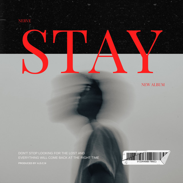 Stay cover art