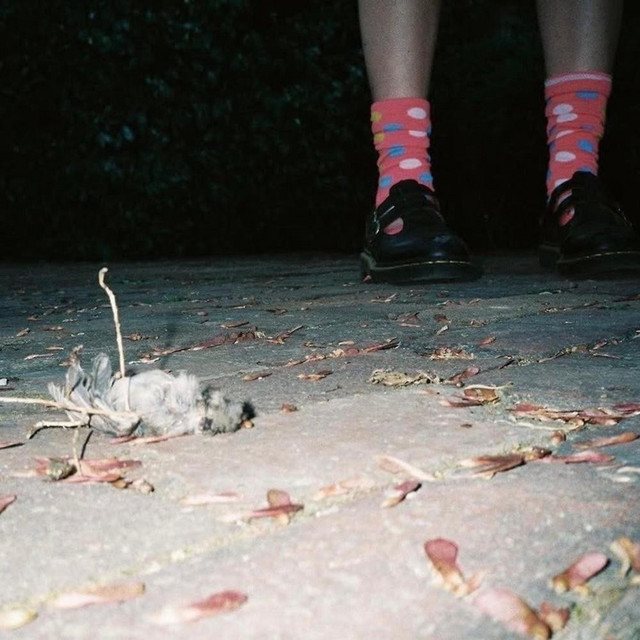 You (in the mind) cover art