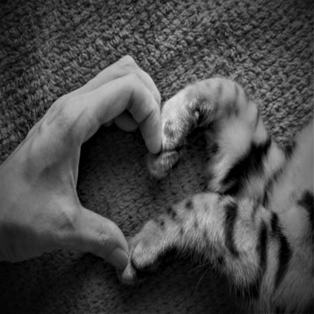 Your Hand In Mine cover