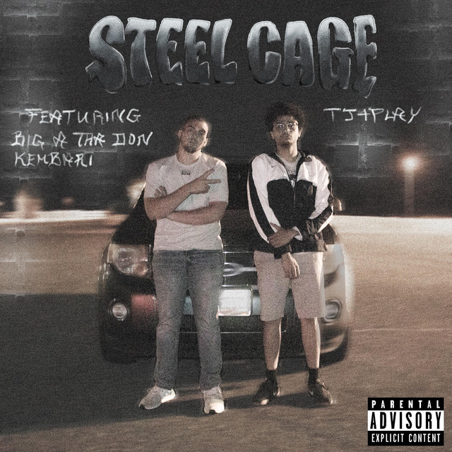 Steel Cage
