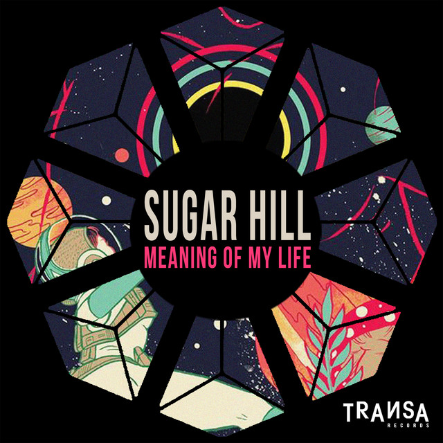 Meaning of my Life album art