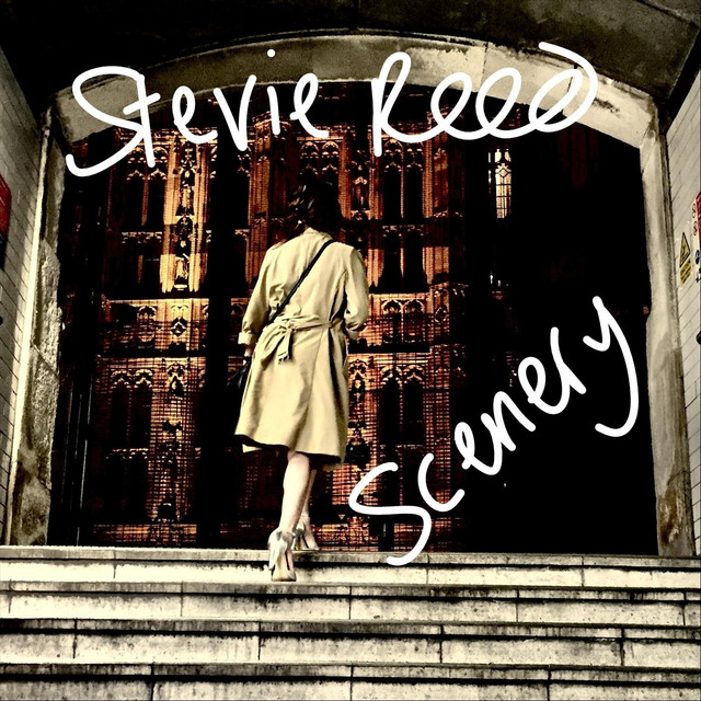 Scenery - Single by Stevie Reed | Spotify