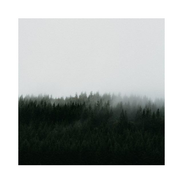 Now Does cover art