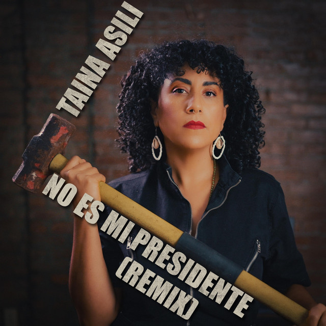 No Es Mi Presidente (Remix) cover