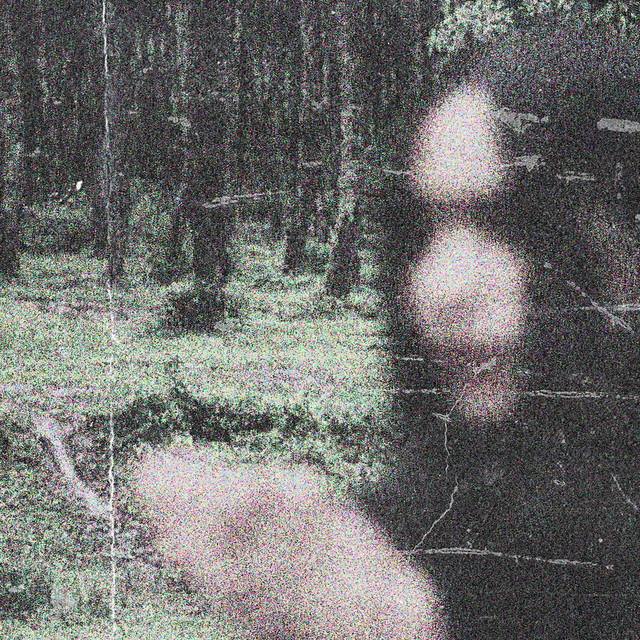 Lost cover art
