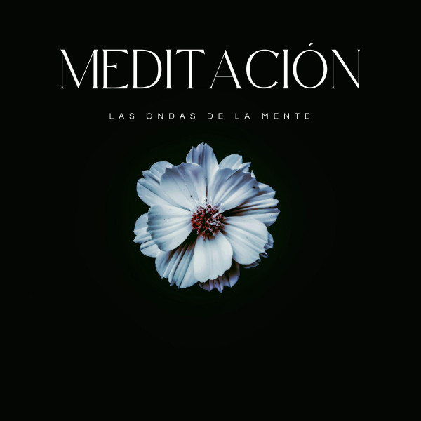 Meditación: Las Ondas De La Mente cover art