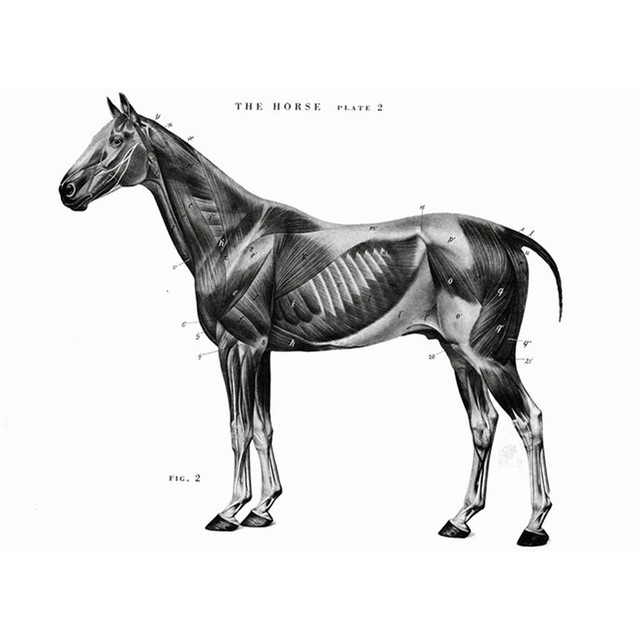 Bürstner and the Baby cover art