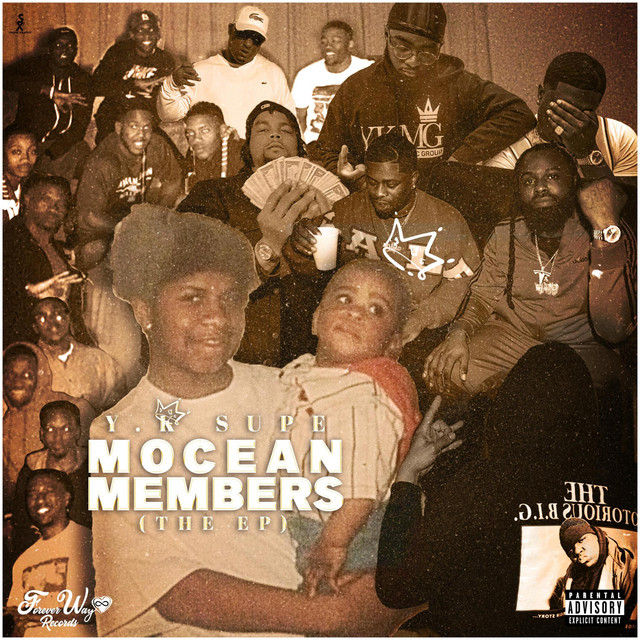Mocean Members