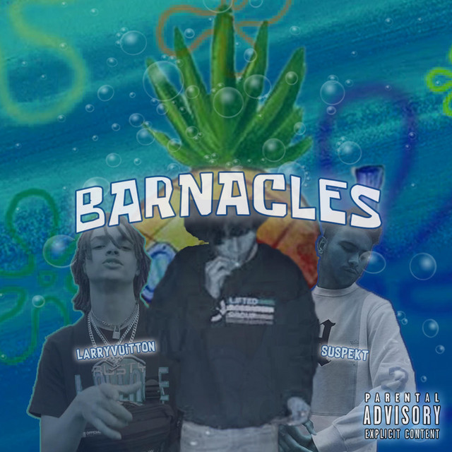 Barnacles cover