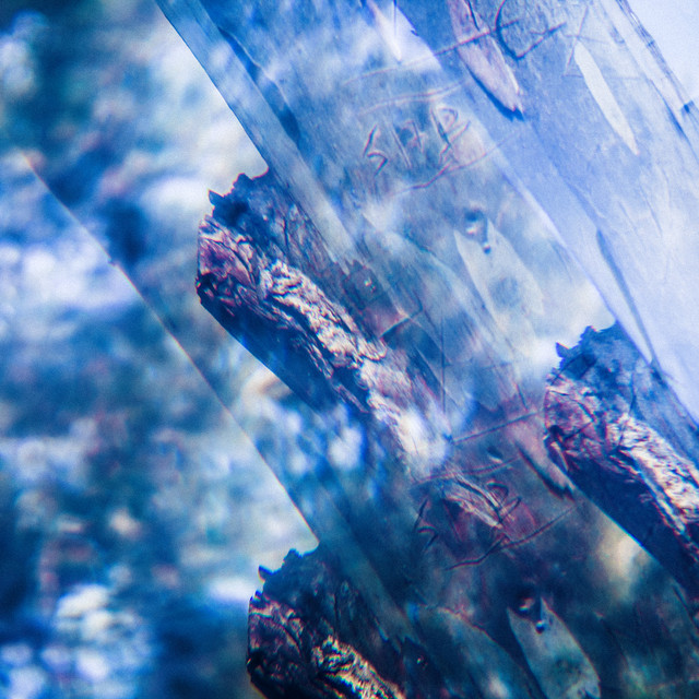 Tree Ghost cover art