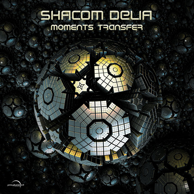 Moments Transfer - EP by Shacom Delia | Spotify