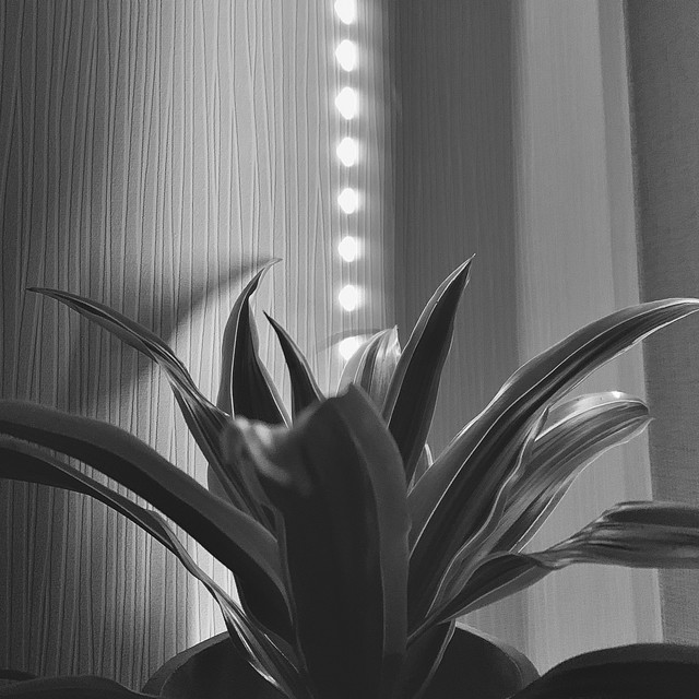 Resonanz