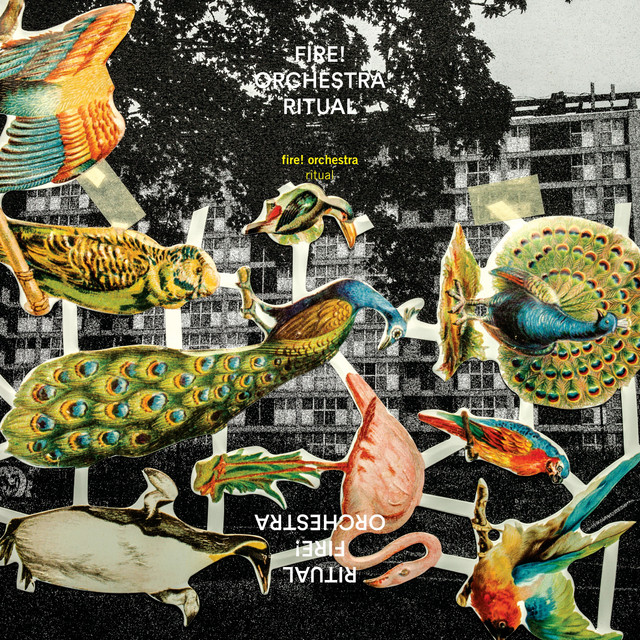 Ritual cover art
