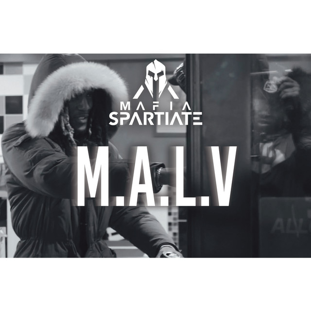 Mal à la vie cover