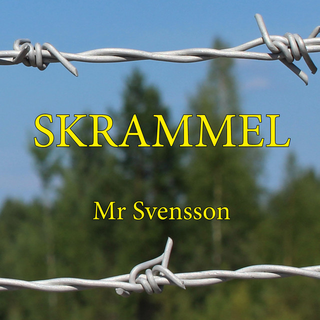 Mr Svensson cover