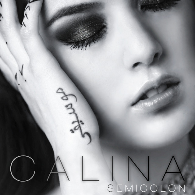 Semicolon cover art