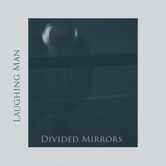 Divided Mirrors cover
