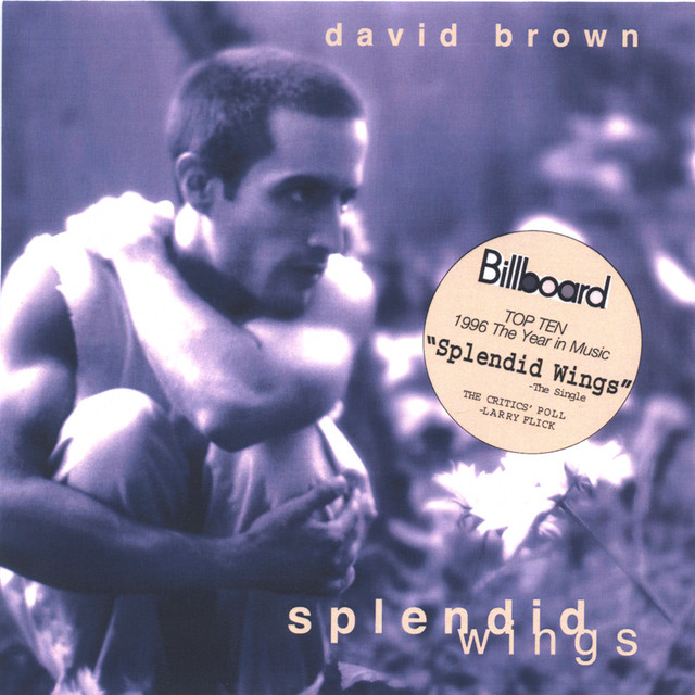 Splendid Wings cover art