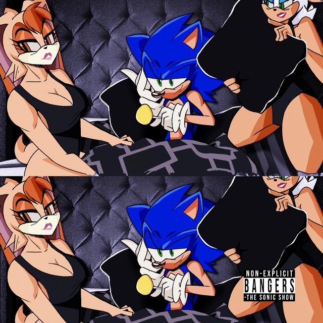 The Sonic Show cover art