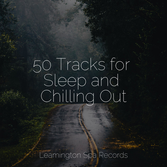 50 Tracks for Sleep and Chilling Out - Album de Schlaflieder Für Kinder ...