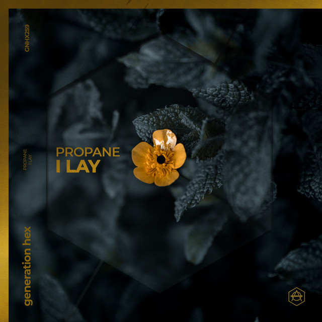 I Lay cover