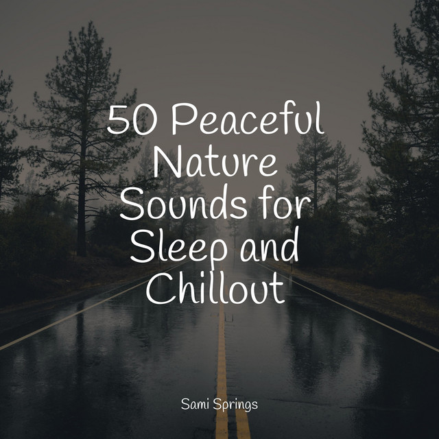 50 Peaceful Nature Sounds for Sleep and Chillout - Album by Preschool ...