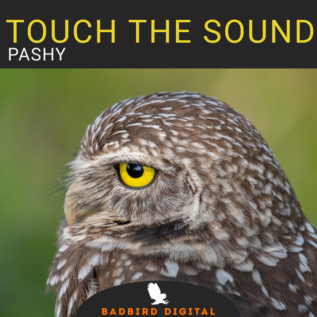 Обкладинка Touch The Sound — Pashy